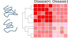 Example:Global structure similarities