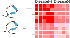 Example:Local structure similarities