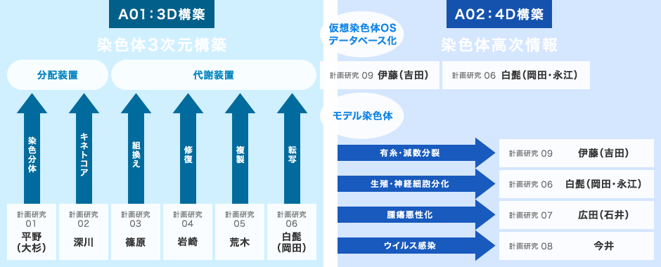 染色体OSについて