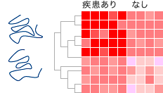 大局的構造の類似性の例