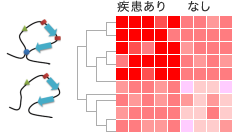 局所的構造の類似性の例